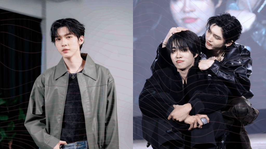 Relações Parassociais e&nbsp;Apego